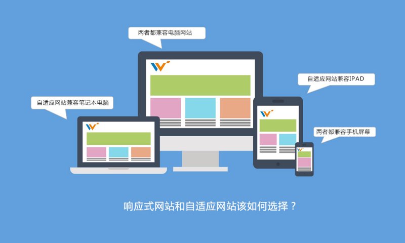 杭州网站制作:企业数字化转型的秘密武器